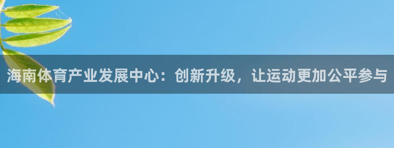 海南意昂体育4：海南体育产业发展中心：创新升级，让运
