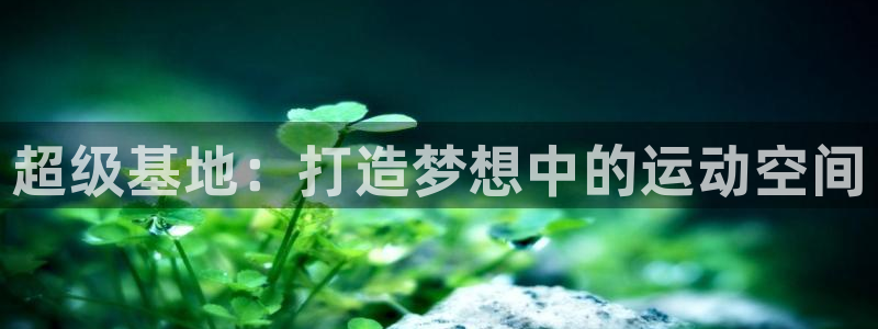 意昂体育4平台APP：超级基地：打造梦想中的运动空间