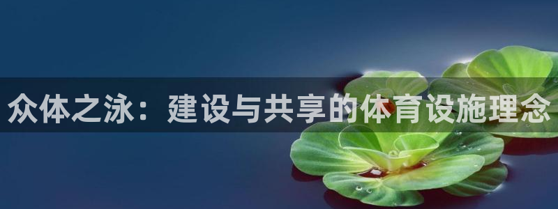 意昂体育4平台APP：众体之泳：建设与共享的体育设施