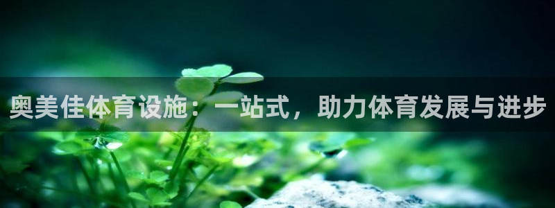 意昂4娱乐首页官网下载：奥美佳体育设施：一站式，助力体育发展