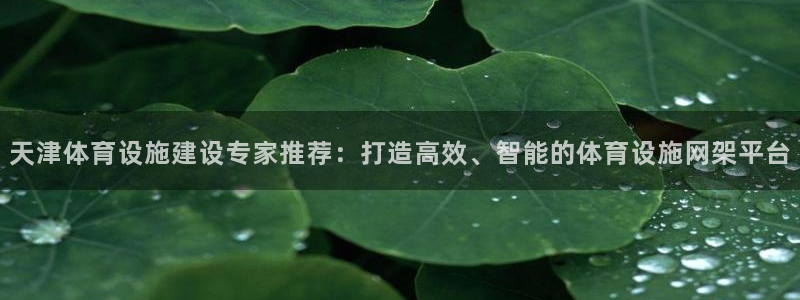 意昂体育4软件：天津体育设施建设专家推荐：打造高效、智能的体