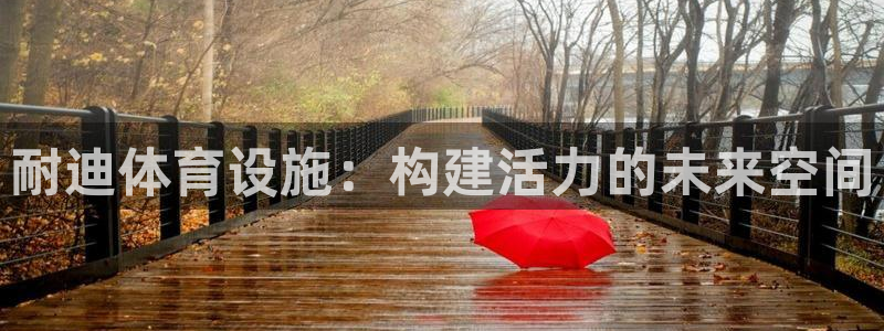 意昂体育4注册：耐迪体育设施：构建活力的未来空间 
