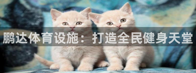 意昂体育4平台假的吗是真的吗吗：鹏达体育设施：打造全民健身天 