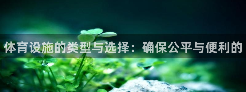 海南意昂体育4发展怎么样：体育设施的类型与选择：确保
