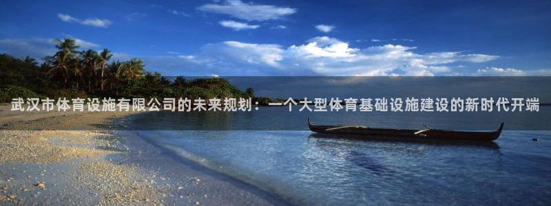 意昂4集团E.ON：武汉市体育设施有限公司的未来规划