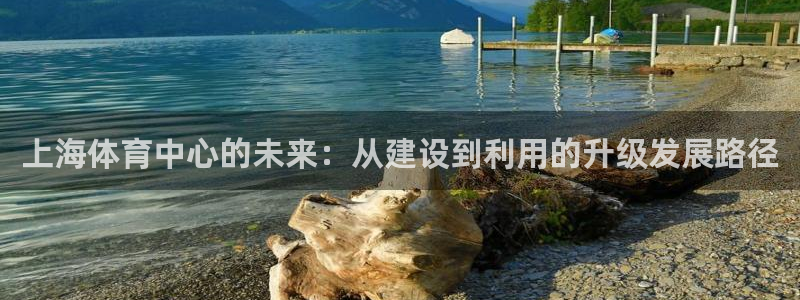 意昂体育4招商电话地址：上海体育中心的未来：从建设到