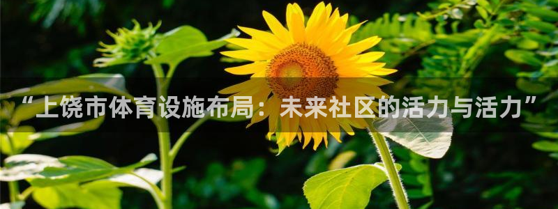 意昂体育4是干嘛的公司：“上饶市体育设施布局：未来社