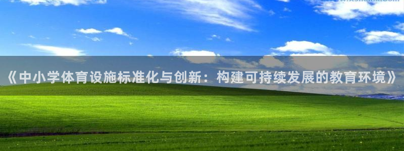 意昂体育4：《中小学体育设施标准化与创新：构建可持续