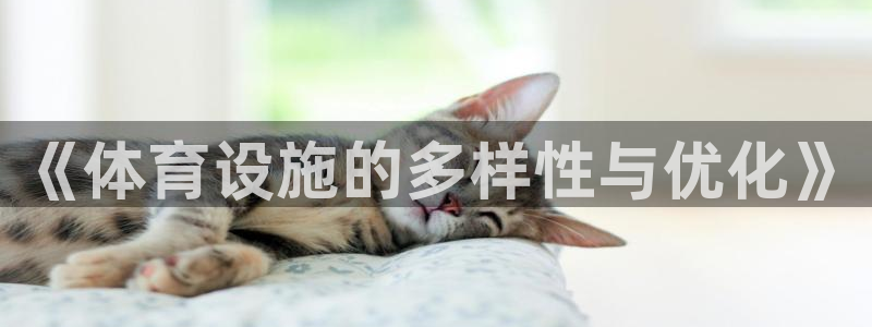 意昂4娱乐平台：《体育设施的多样性与优化》