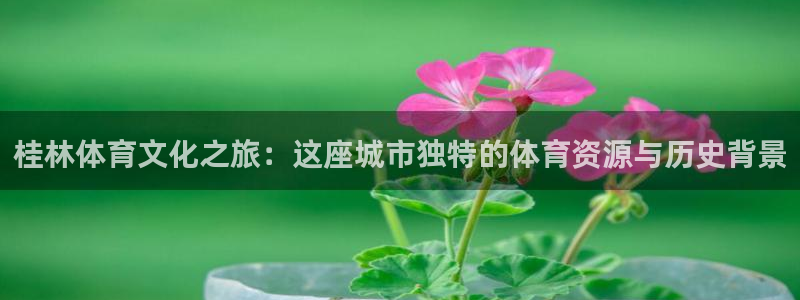 意昂体育4注册：桂林体育文化之旅：这座城市独特的体育