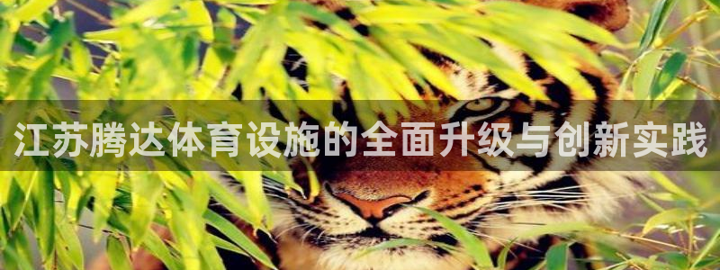 意昂4集团简介：江苏腾达体育设施的全面升级与创新实践