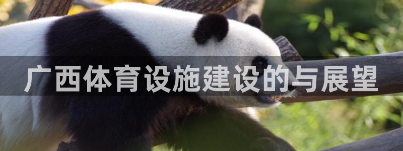 意昂体育4娱乐