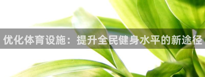 德国意昂4集团