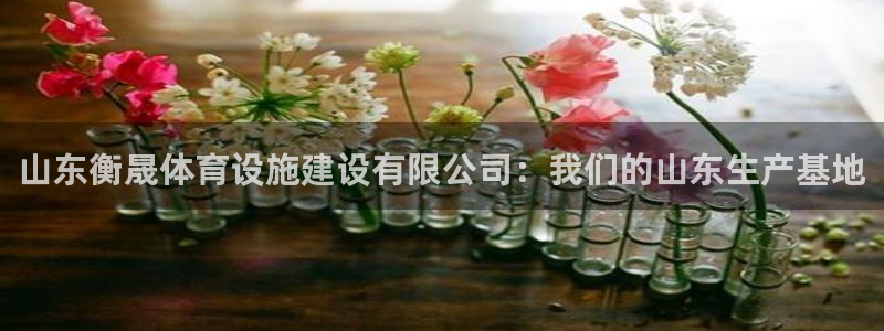意昂4新能源