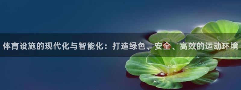 意昂体育4招商电话是多少：体育设施的现代化与智能化：