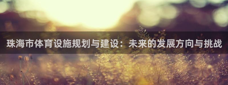 意昂平台体育：珠海市体育设施规划与建设：未来的发展方向与挑战