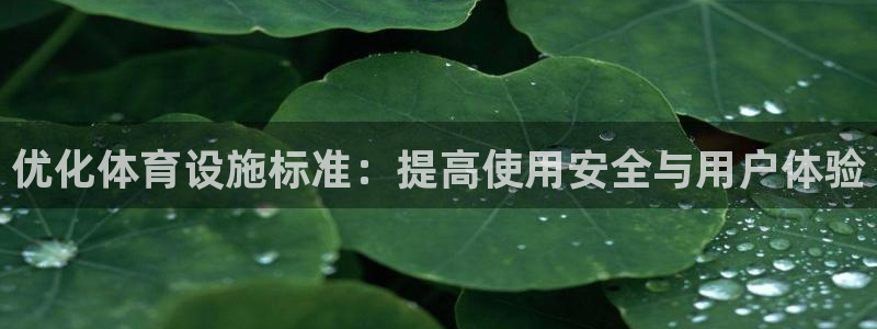 意昂体育4平台注册流程视频：优化体育设施标准：提高使