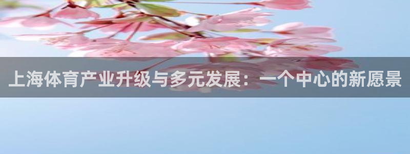 意昂体育4招商电话地址：上海体育产业升级与多元发展：一个中心