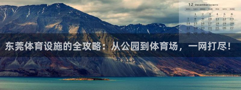 意昂4集团简介：东莞体育设施的全攻略：从公园到体育场
