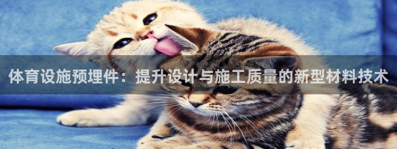 意昂4娱乐40996：体育设施预埋件：提升设计与施工质量的新