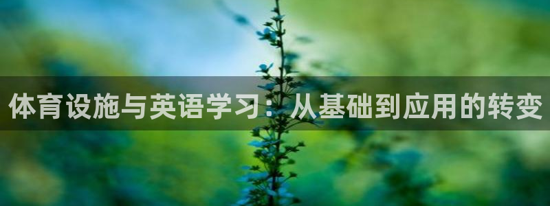 意昂4娱乐平台：体育设施与英语学习：从基础到应用的转