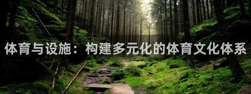 意昂4娱乐首页网站大全：体育与设施：构建多元化的体育文化体系 