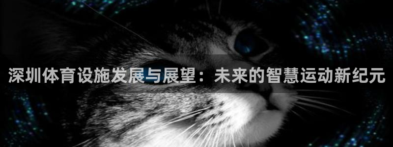 意昂4娱乐是那个系列的台子：深圳体育设施发展与展望：