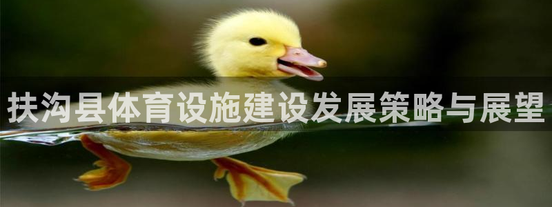 意昂体育4平台是正规平台吗：扶沟县体育设施建设发展策