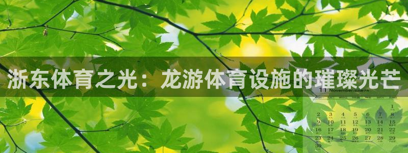意昂体育4平台注册要钱吗：浙东体育之光：龙游体育设施