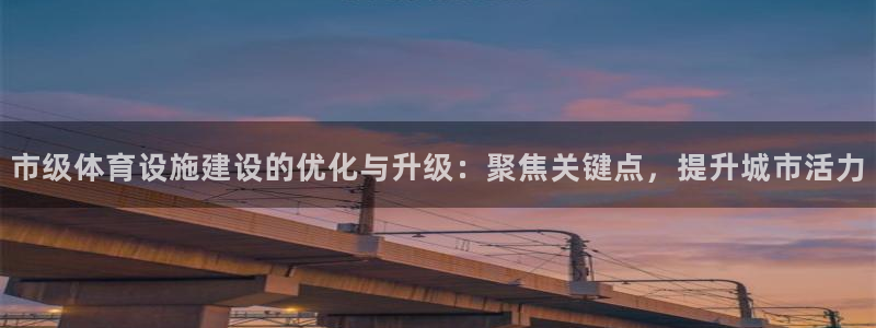 意昂4娱乐网站：市级体育设施建设的优化与升级：聚焦关