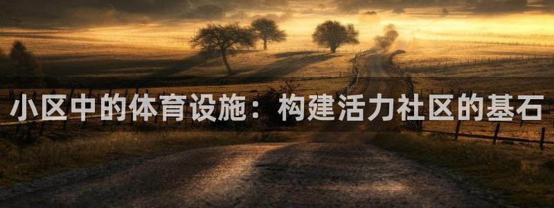 意昂4娱乐40996：小区中的体育设施：构建活力社区的基石