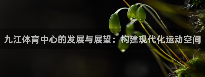 意昂体育4招商电话号码查询：九江体育中心的发展与展望：构建现