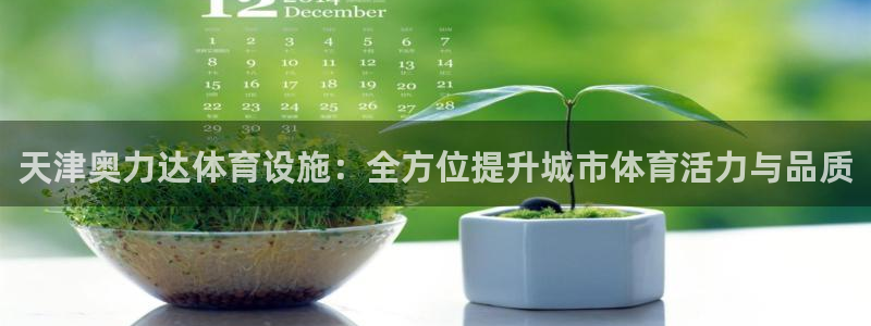 意昂4娱乐首页网站大全：天津奥力达体育设施：全方位提