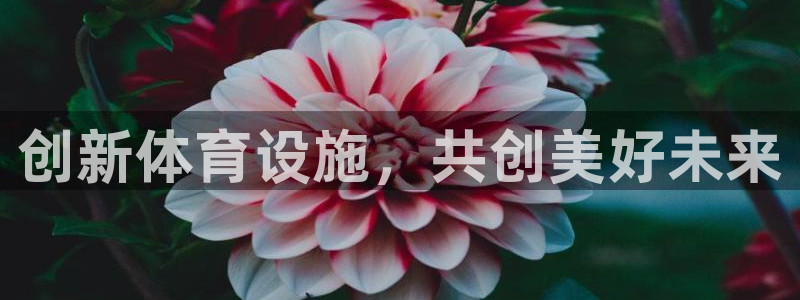 意昂4集团简介：创新体育设施，共创美好未来 