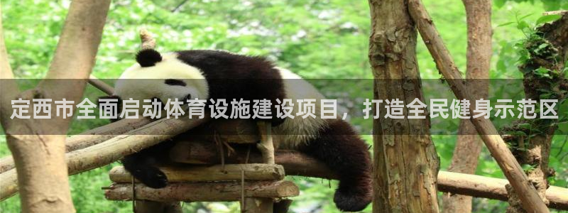 意昂4娱乐首页官网下载