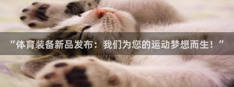 意昂体育4软件：“体育装备新品发布：我们为您的运动梦