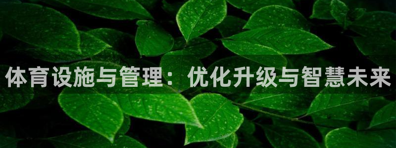 意昂4集团官网首页网址：体育设施与管理：优化升级与智