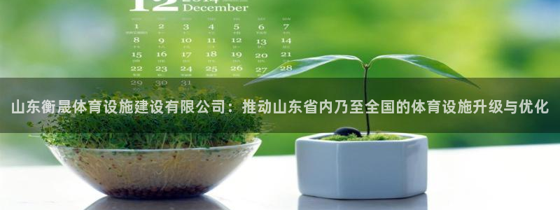 意昂体育4：山东衡晟体育设施建设有限公司：推动山东省
