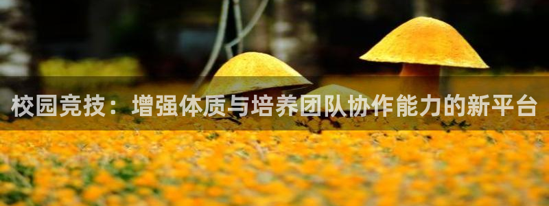 意昂体育4招商电话号码是多少号：校园竞技：增强体质与