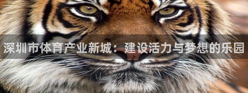 意昂体育4招商