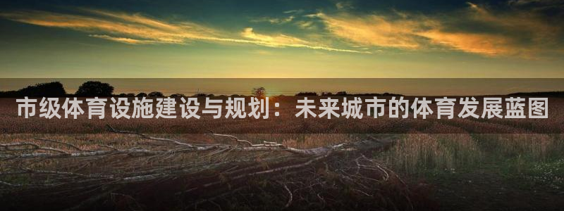 意昂体育4平台APP：市级体育设施建设与规划：未来城