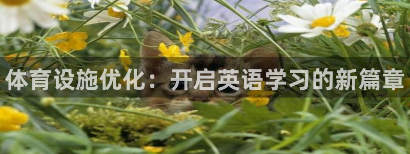 意昂体育4官方客服电话：体育设施优化：开启英语学习的新篇章