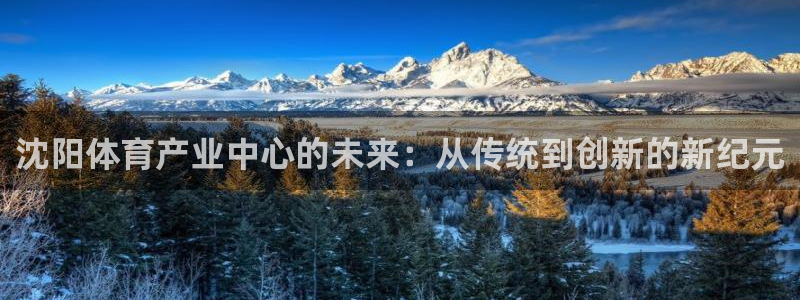 意昂4娱乐平台：沈阳体育产业中心的未来：从传统到创新