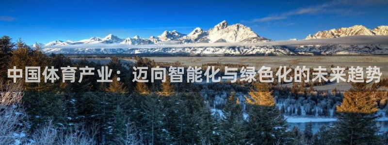 意昂4娱乐代理怎么样：中国体育产业：迈向智能化与绿色