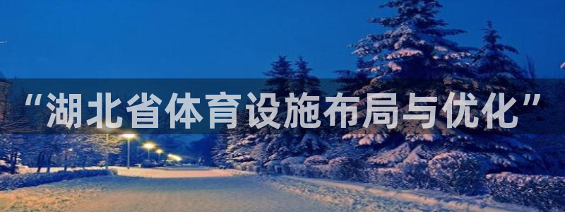 意昂体育4注册：“湖北省体育设施布局与优化”