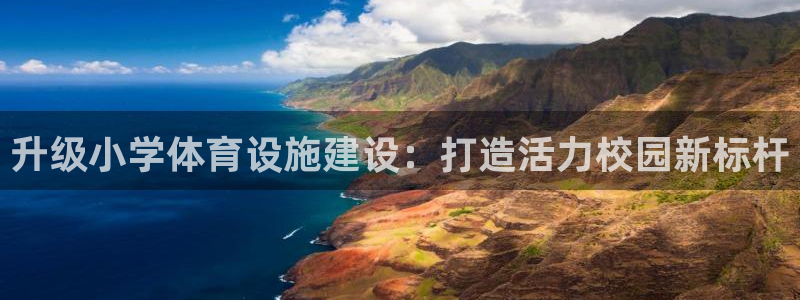 意昂体育4平台注册：升级小学体育设施建设：打造活力校
