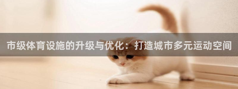 意昂4娱乐代理怎么样：市级体育设施的升级与优化：打造
