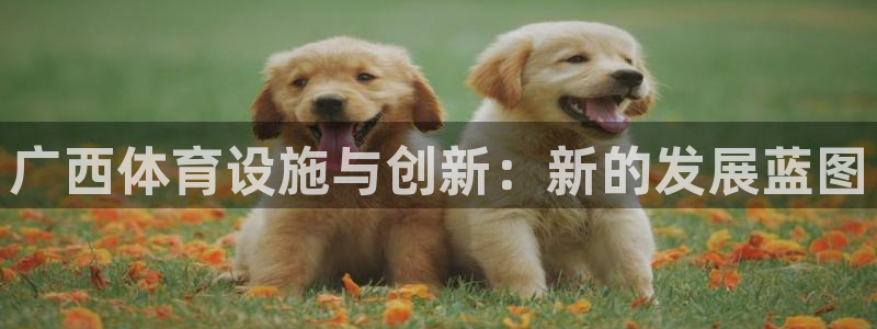 意昂4集团简介：广西体育设施与创新：新的发展蓝图