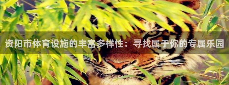 意昂平台体育：资阳市体育设施的丰富多样性：寻找属于你