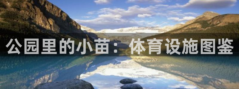 德国意昂4集团：公园里的小苗：体育设施图鉴